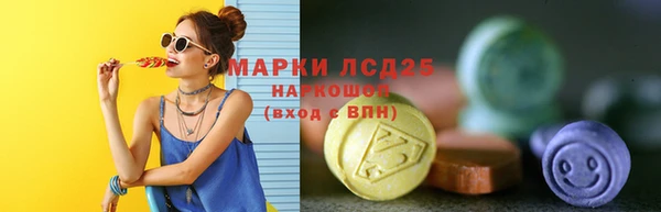 прущие грибы Алексеевка