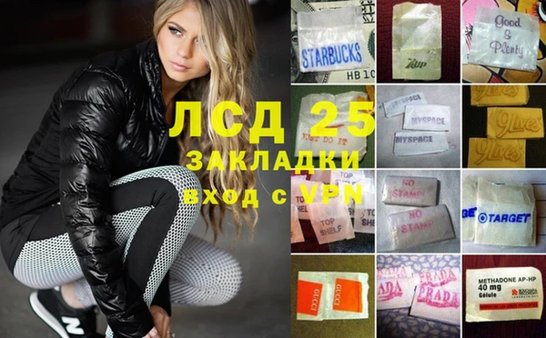 прущие грибы Алексеевка